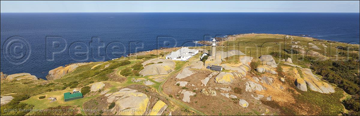 Peter Bellingham Photography Montague Island - NSW (PBH4 00 9639)